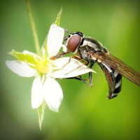 /album/leftfillcrafpo/photolia-a02-jpg/