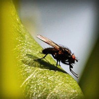 /album/leftfillcrafpo/photolia-a04-jpg/