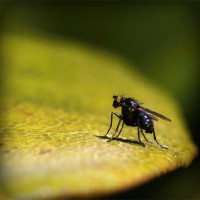 /album/leftfillcrafpo/photolia-a07-jpg/